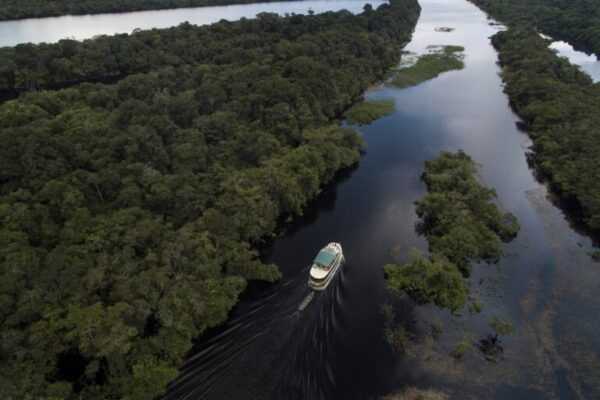 Avanços tecnológicos como a IA cooperam com a preservação do Brasil avancos-tecnologicos-como-a-ia-cooperam-com-a-preservacao-do-brasil
